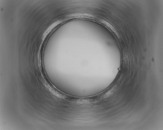 X0000080171082200612221245