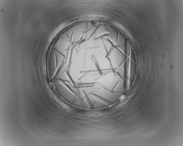 X0000080171083200612221245