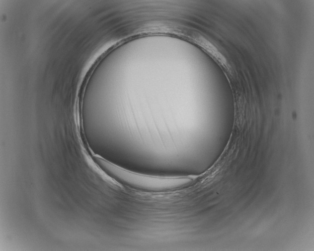 X0000080171084200612221245