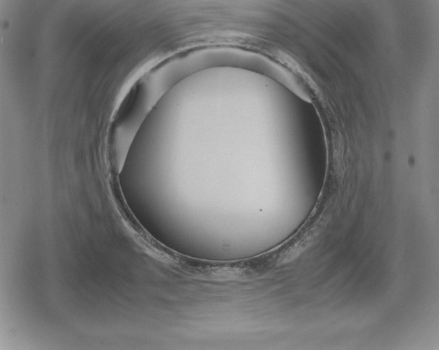 X0000080171085200612221245