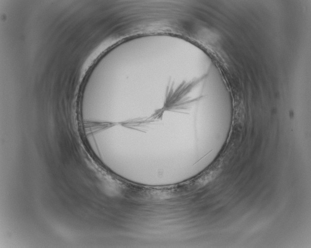 X0000080171086200612221245