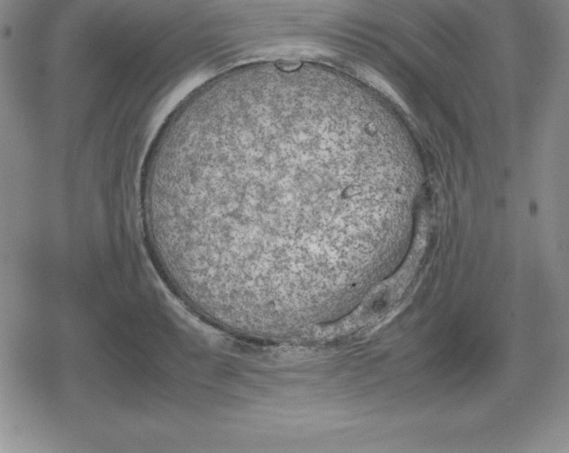 X0000080171087200612221245