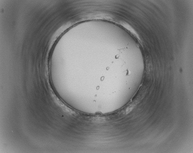 X0000080171088200612221245