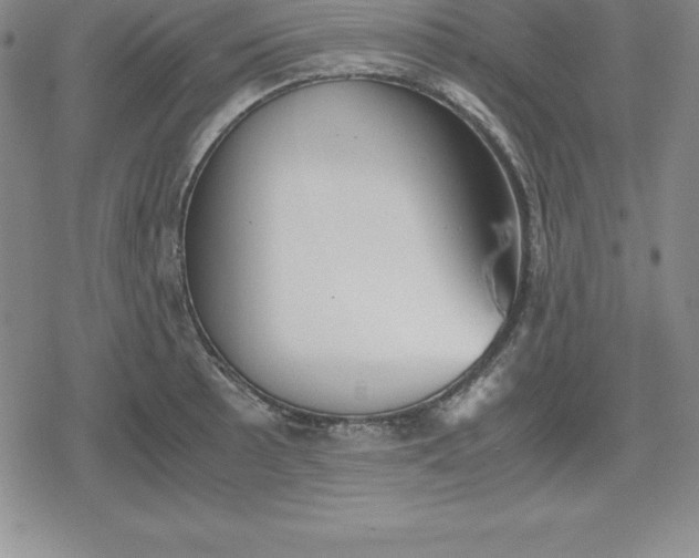 X0000080171089200612221245