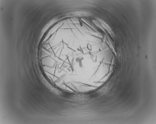 X0000080171091200612221245