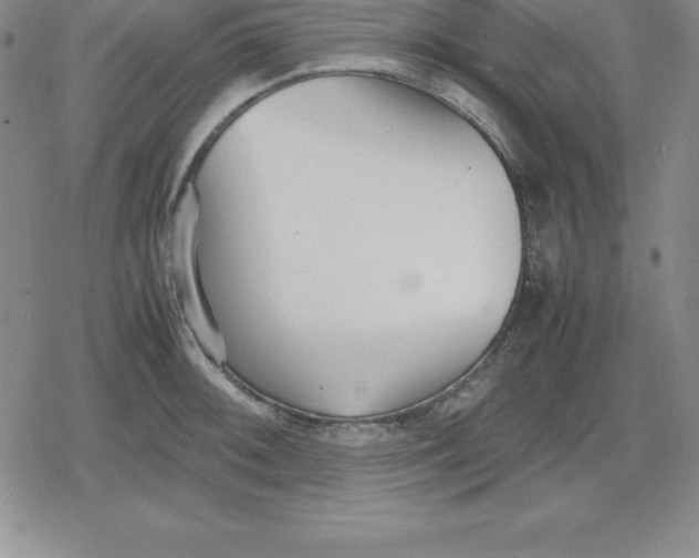 X0000080171092200612221245