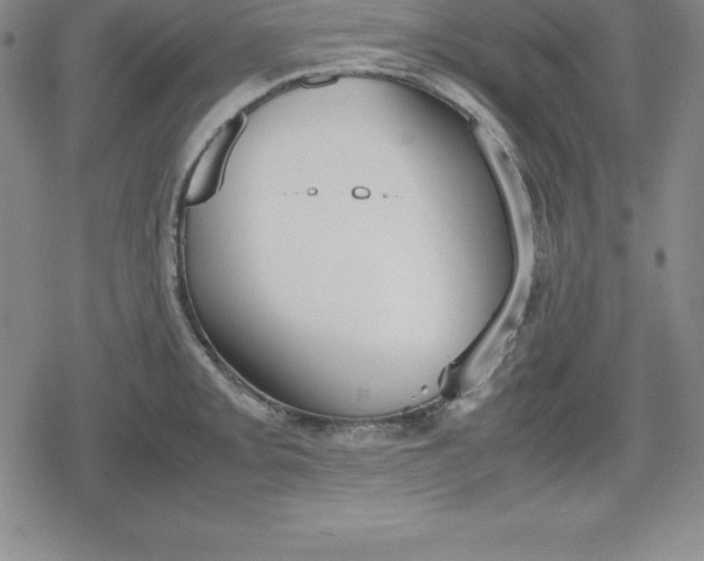 X0000080171093200612221245