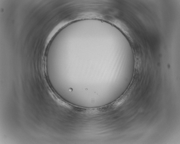 X0000080171094200612221245