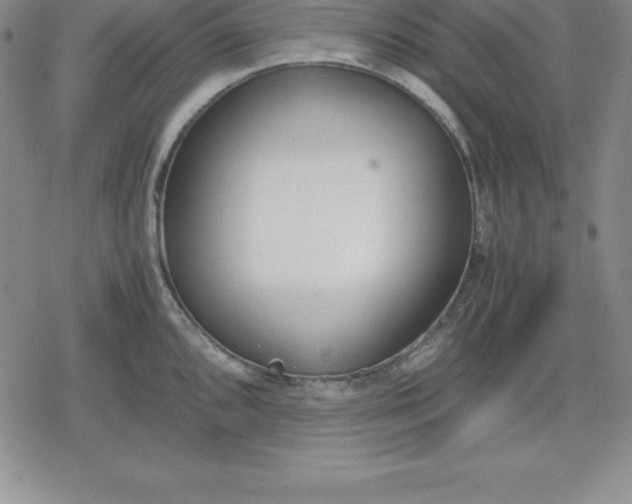 X0000080171096200612221245