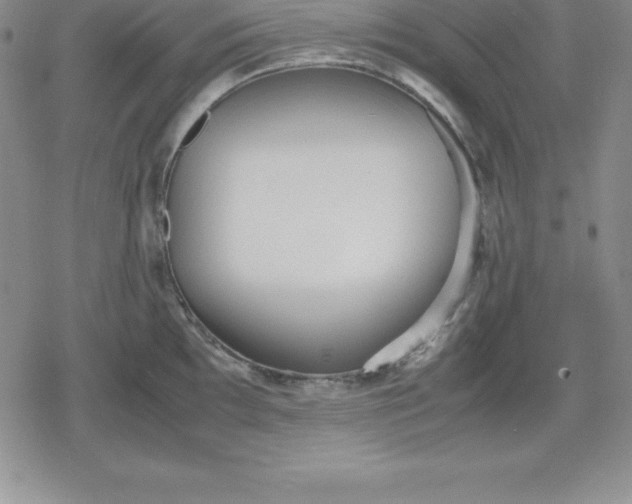 X0000080171097200612221245