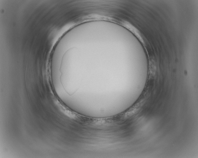 X0000080171098200612221244