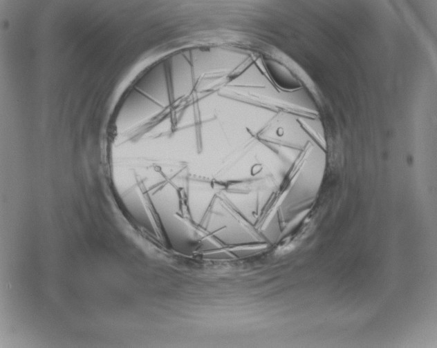 X0000080171099200612221244