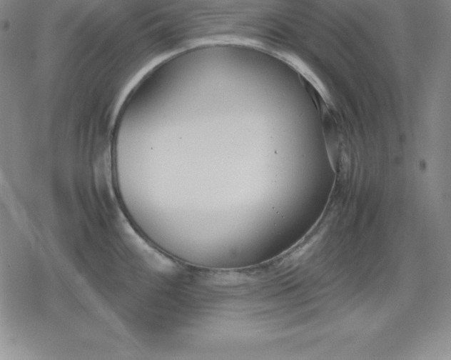 X0000080171100200612221244