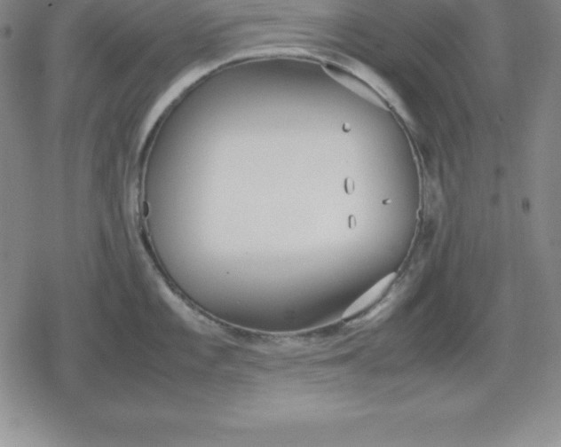 X0000080171101200612221244