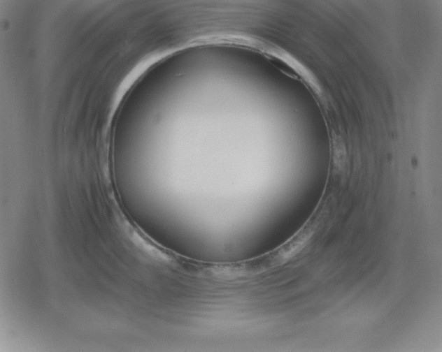 X0000080171102200612221244