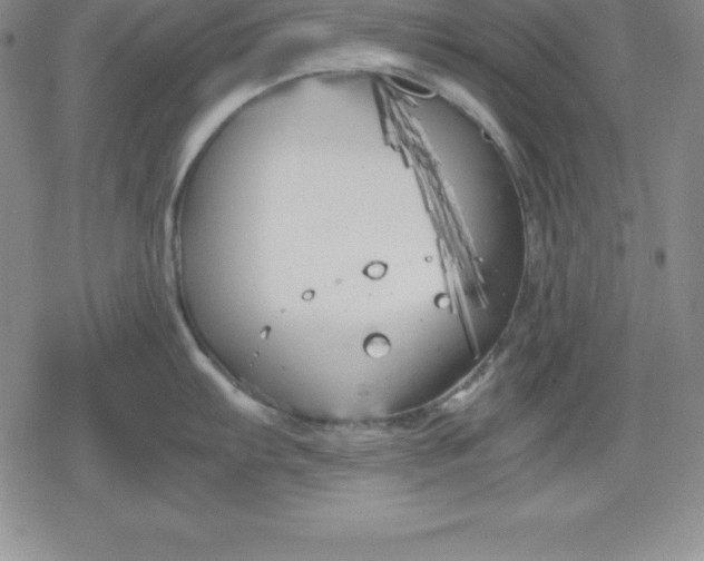 X0000080171103200612221244