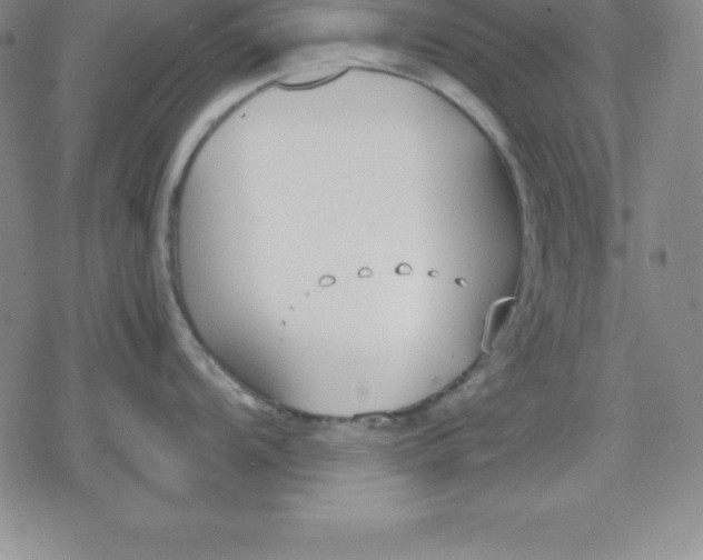 X0000080171104200612221244