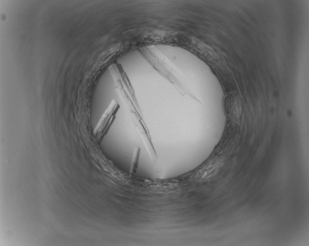 X0000080171105200612221244