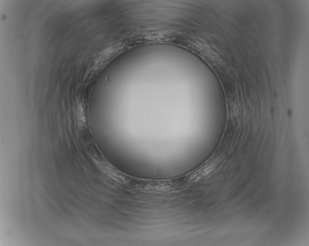 X0000080171106200612221244