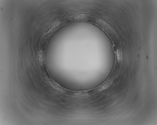 X0000080171107200612221244