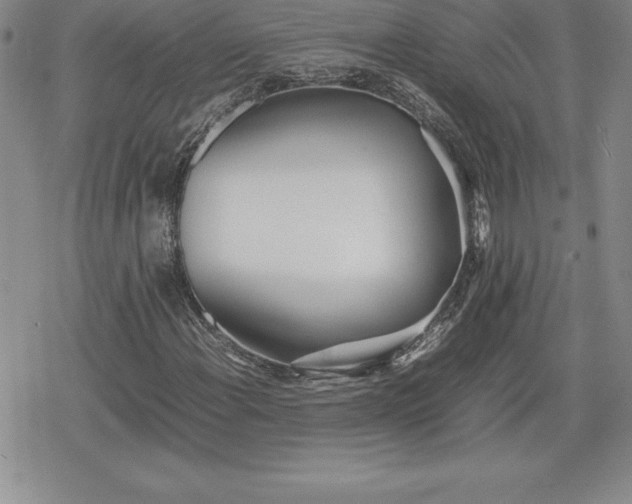 X0000080171108200612221244