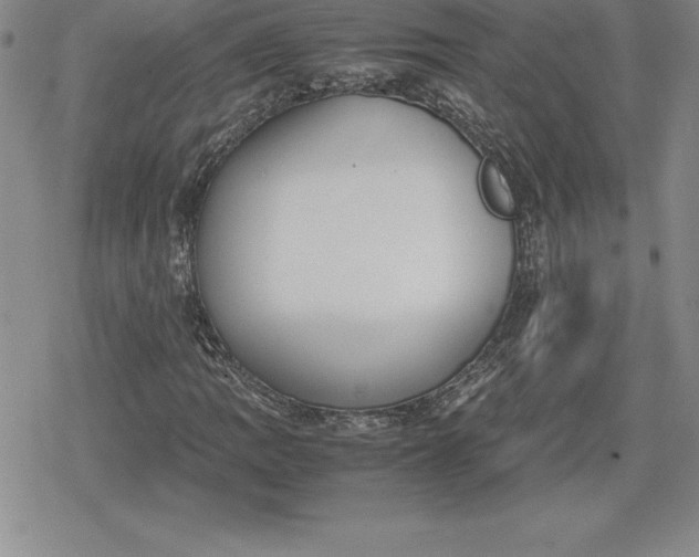 X0000080171109200612221244