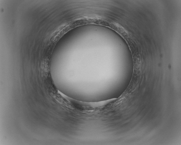 X0000080171110200612221244