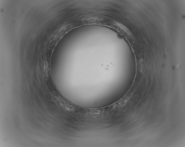 X0000080171111200612221244