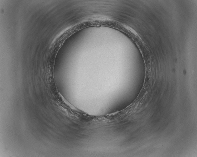 X0000080171112200612221244