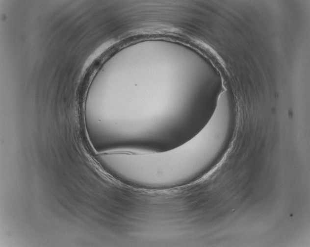 X0000080171114200612221244