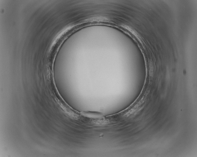 X0000080171115200612221244