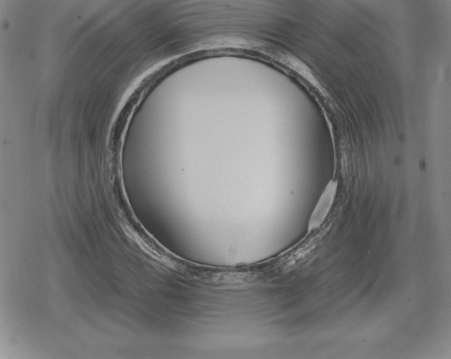 X0000080171116200612221244