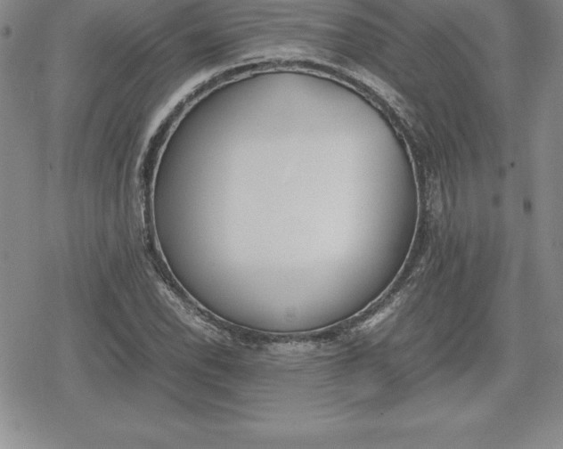 X0000080171118200612221244