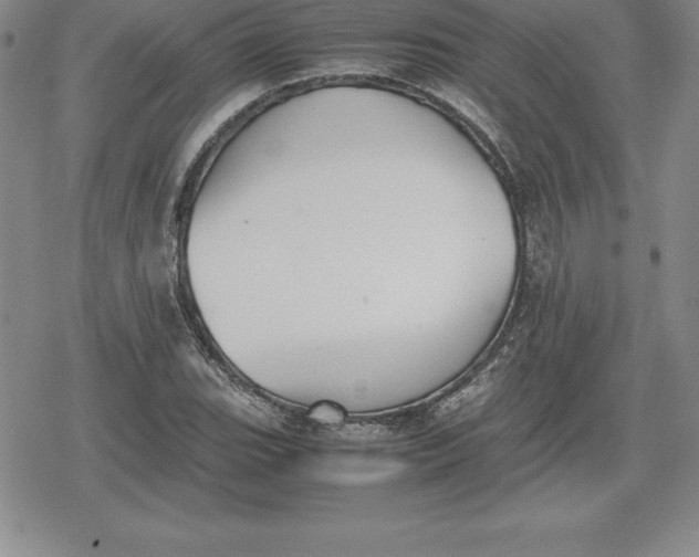 X0000080171119200612221244