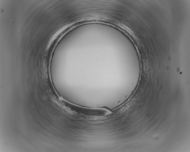 X0000080171120200612221244