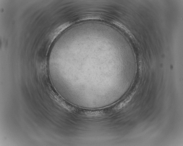 X0000080171121200612221244