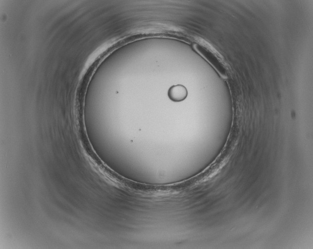 X0000080171122200612221244