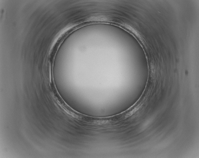 X0000080171123200612221244