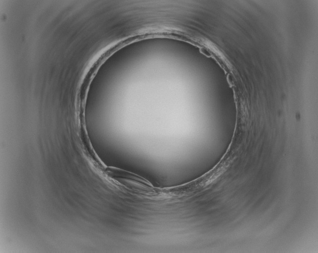 X0000080171124200612221244