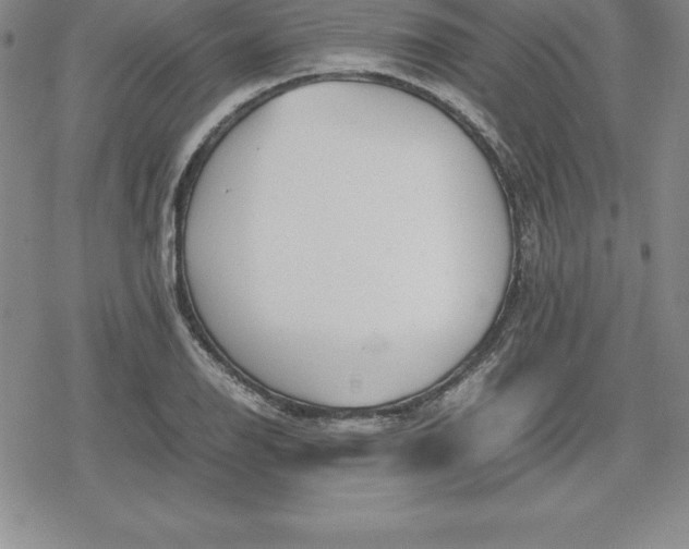 X0000080171126200612221244