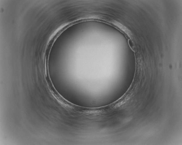 X0000080171127200612221244