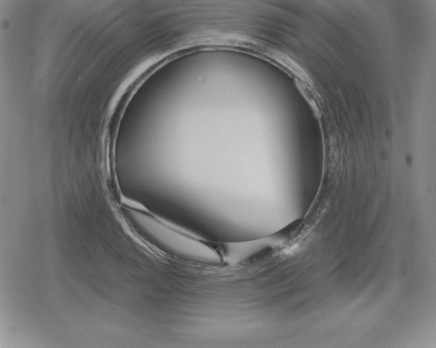 X0000080171128200612221244