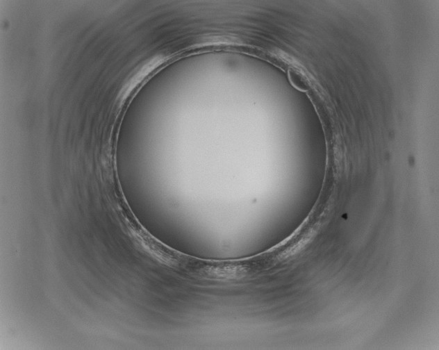 X0000080171129200612221244