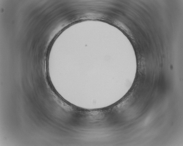 X0000080171130200612221244