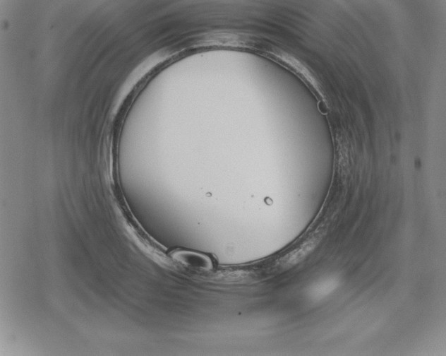 X0000080171131200612221244