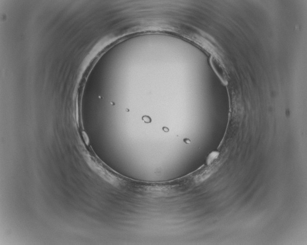 X0000080171132200612221244