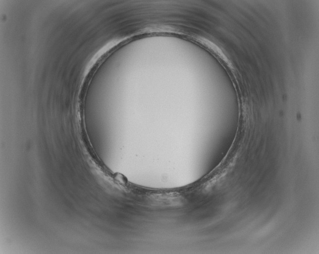 X0000080171133200612221244