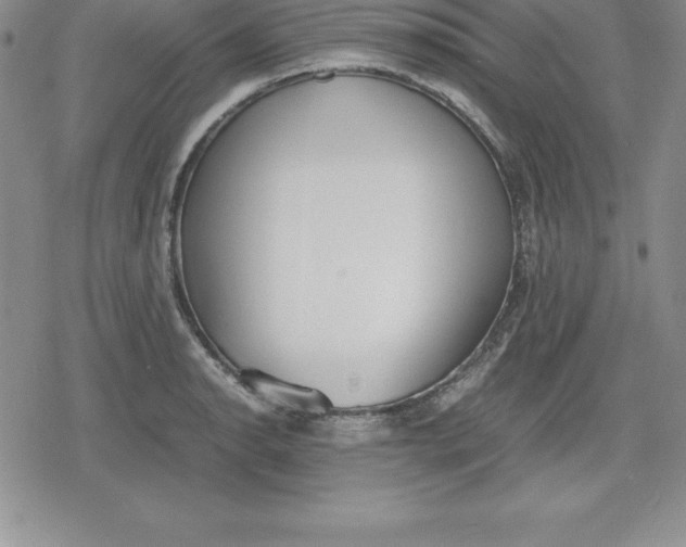 X0000080171134200612221244