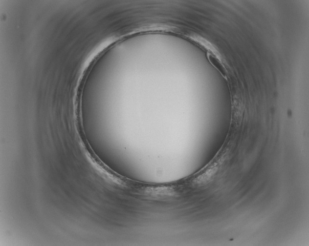 X0000080171135200612221244