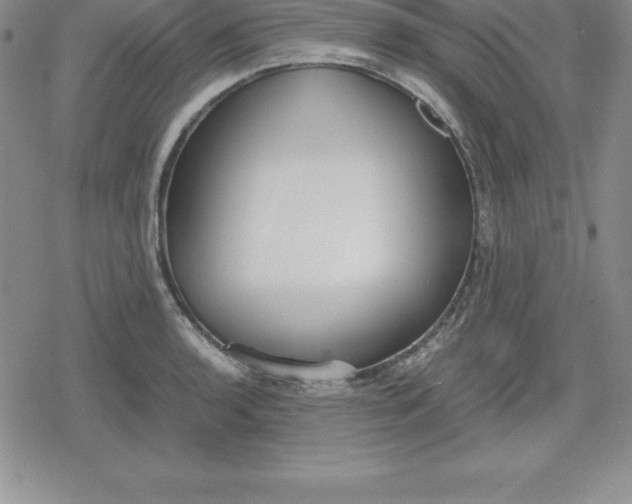 X0000080171136200612221244